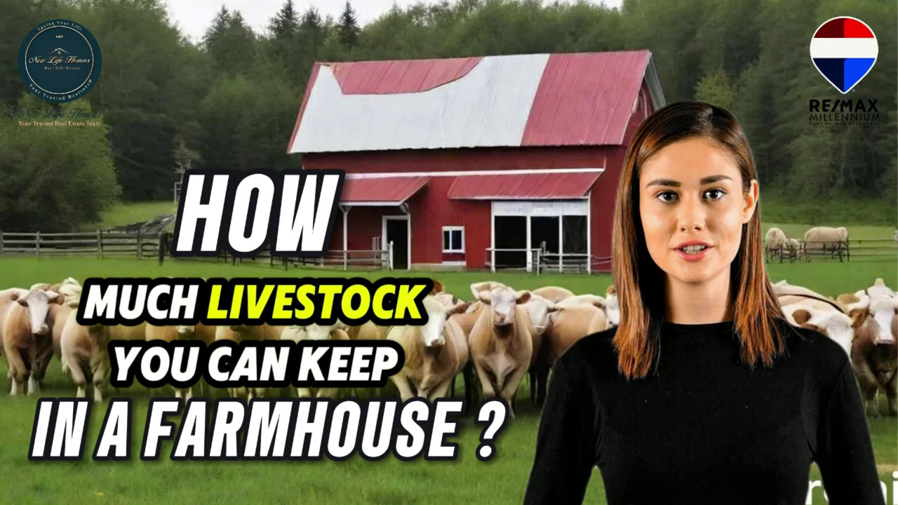 How much Livestock you can keep in a Farm?